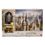 Harry Potter Fashion Doll