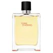 Hermes Terre d'Hermès Eau de Toilette 125ml