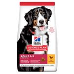 Hill's Science Plan Adult Large Cane (Pollo) - secco 12kg