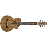 Ibanez Chitarra Acustica EWP14WB-OPN