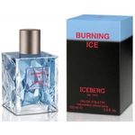 Iceberg Burning Ice 50ml