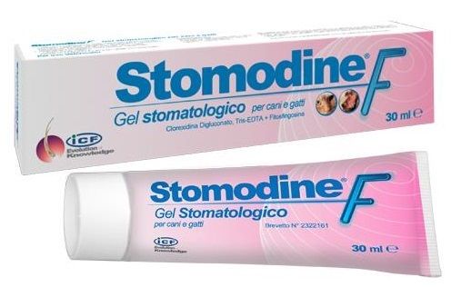 ICF Stomodine F Gel 30 ml
