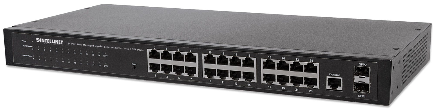 Intellinet 560917