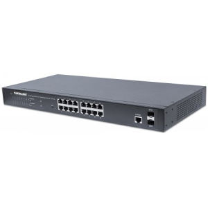 Intellinet 561198