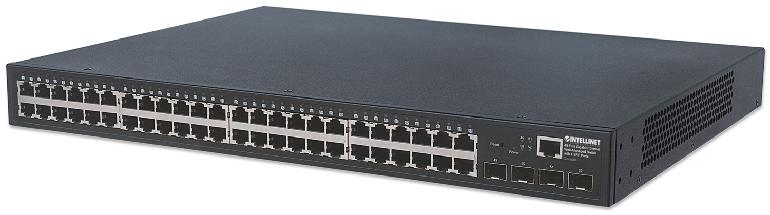 Intellinet 561334