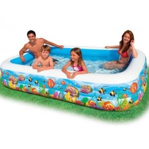 Intex Fish 305x183