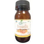 Isanibio Boswellia Capsule 50 capsule