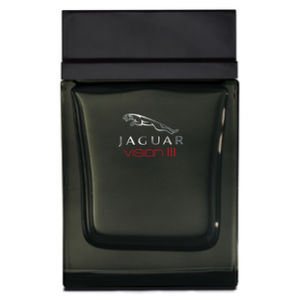 Jaguar Vision III 100ml