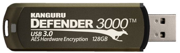 Kanguru Defender 3000 64GB