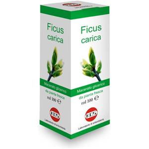 Kos Ficus Carica Gocce 100ml