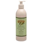 L'Erbolario L'olivo Shampoo Delicato 500ml