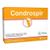 Laboratori Nutriphyt Condrospir Apparato Muscolo Scheletrico Bustine 14 bustine