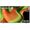 LG OLED B5 83" (OLED83B56LA)