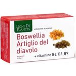 Ligne de Plantes Boswellia Artiglio Diavolo Vitamine B6 B2 B9 Capsule 60 capsule