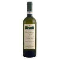 Matteo Correggia Sauvignon Matteo Correggia Langhe DOC
