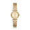 Michael Kors Mini Darci MK3295