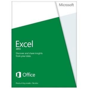 Microsoft Excel 2013