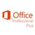 Microsoft Office 2013 Professional Plus
