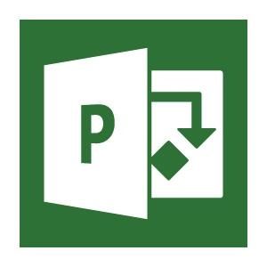Microsoft Project Professional Plus 2019