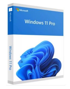 Microsoft Windows 11 Pro OEM