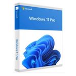Microsoft Windows 11 Pro OEM