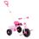 Molto Triciclo Urban Trike