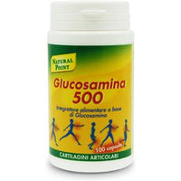 Natural Point Glucosamina 500 100capsule