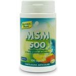 Natural Point MSM 500 Capsule 100 pezzi