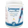 Naturincas Jovengen Collagene Idrolizzato 390g