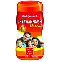 Baidyanath Chyawanprash Special 500g