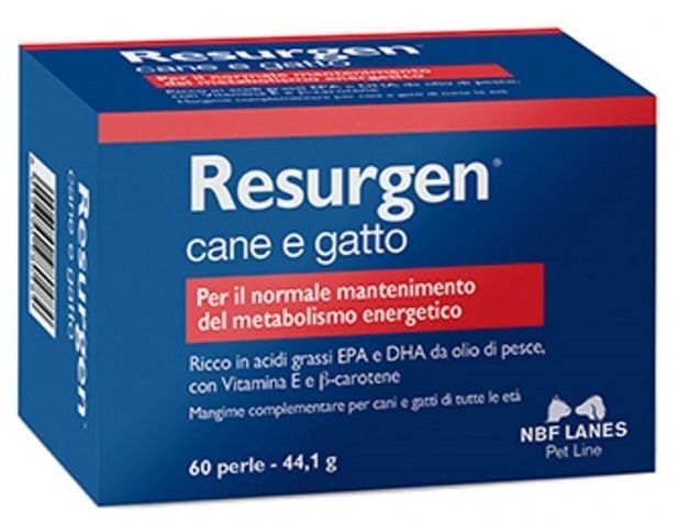 NBF Lanes Resurgen Cane e Gatto 60 perle