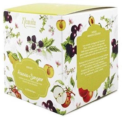 Neavita Arancia e Zenzero Tisana Filtroscrigno