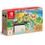 Nintendo Switch Ricondizionata