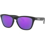 Oakley Frogskins Nero Lenti Prizm Violet