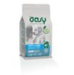 Oasy Puppy&Junior Medium&Large Cane (Agnello) - secco 12Kg
