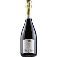 Orestiadi Feu Spumante Blanc De Blancs Brut VSQ