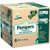 Pampers Baby-Dry 6 52 Pezzi