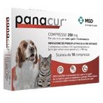 MSD Animal Health Panacur 10 compresse 250 mg