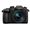 Panasonic Lumix GH5M2 + Leica 12-60mm