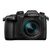 Panasonic Lumix GH5M2 + Leica 12-60mm