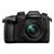 Panasonic Lumix GH5M2 + Lumix 12-60mm