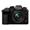 Panasonic Lumix GH6 + 12-60mm F3.5-5.6 G Vario