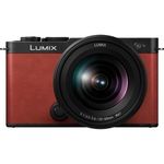 Panasonic Lumix S9 + 20-60mm