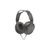 Panasonic RP-HT265