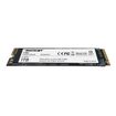 Patriot P300 1 TB