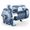 Pedrollo Elettropompa centrifuga bigirante 2CP 2CPm 25/16C