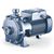 Pedrollo Elettropompa centrifuga bigirante 2CP 2CPm 25/16C