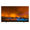 Philips OLED804 65" (65OLED804)