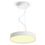 Philips Hue Enrave lampada LED a sospensione