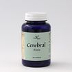 Phytoitalia Cerebral Ayurved Capsule 60 capsule
